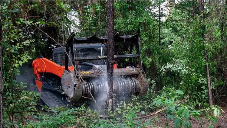 What Is the Best Forestry Mulcher for Compact Loaders?
