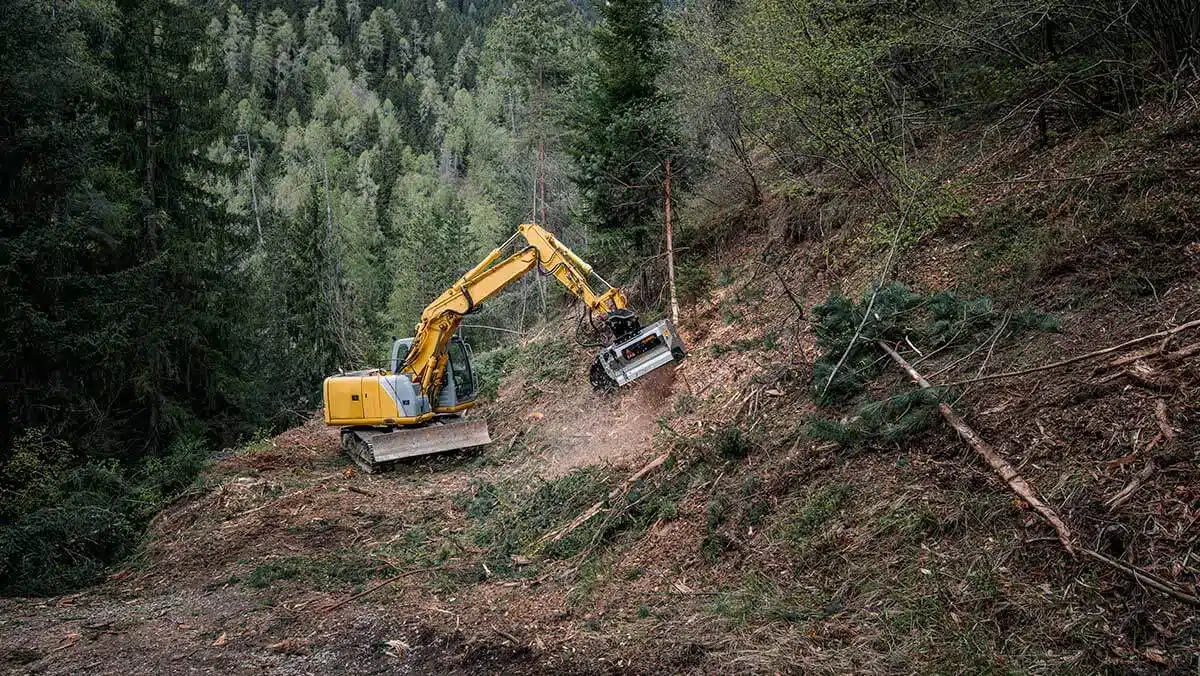 Forest Road creation, G.B. Equipments