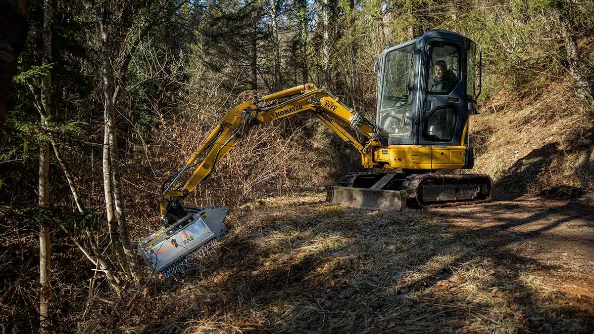 Forest Lot Maintenance & Trail Creation, G.B. Equipments